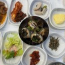 빵 순이네