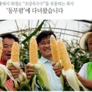 흥농청과