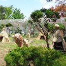 양사초교 이미지