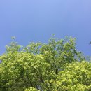 헬로우동물병원 | 서대문구 동물병원 추천 연희동 헬로우동물병원♥︎