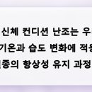 계절이 바뀔 때마다 겪는 신체 컨디션 난조의 진짜 이유