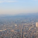 앞산강아지 이미지