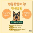 멍블랑 | 부산 대형견 유치원 호텔링 가능한 해운대 멍블랑유치원