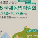 세계 여행 행정사 이미지