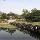 1761 Daum카페