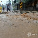 폭우 : 울산 이미지