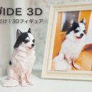 스마트폰을 활용한 동영상제작 및 유튜브공유 이미지