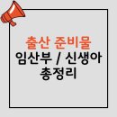 출산 준비물 임산부와 신생아를 위한 필수 아이템 총정리