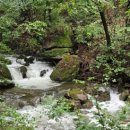 심천치유자연휴양림 | 백일 글쓰기 [100-39] 동두천 자연휴양림 <치유의 숲> 체험 후기