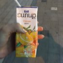 유타로 이미지