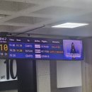 제주공항 수화물 보관소 가격, 시간, 연착으로 다다미 김밥 후기까지