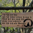 방사형수로 및 조각 | 양평 용문사 템플스테이 체험형 후기 | 천년넘은 은행나무와 함께한 1박 2일 마음 쉼표 여행