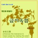 증산고령토 이미지