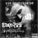 971016 이미지