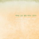 핑크에이드 (PINKAIDE) 이미지