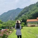 새들펜션캠핑장 이미지