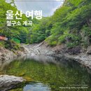 이마트24 울산화암점 | 울산 여름 계곡 추천 배내골 계곡과 철구소 계곡 물놀이 후기