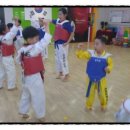 도건태권도 이미지