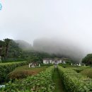 외도보타니아주