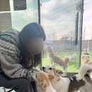 너와함개냥 네이버블로그