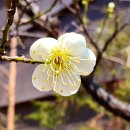 이제 오늘이 있을 것이다 이미지