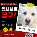 유채/여아/3살 이미지