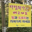 람쥐와도토리