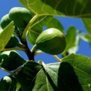 영원장수마트 이미지