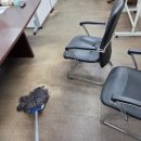 늘푸른청소 이미지