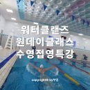 생03 | 수영 원데이 클래스 접영 워터클랜즈 특강 후기