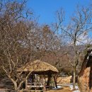 대나무생태원 화장실 | 광주 근교 고즈넉한 힐링 여행! 담양 소쇄원 (전라도 가볼만한곳 추천)