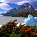 [칠레]토레스 델 파이네 국립공원 Parque Nacional Torres del Paine 이미지