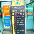 도개스파 이미지