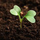 대유농장 이미지