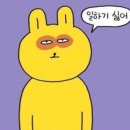 다올림