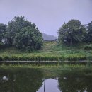 개나리낚시공원 | 안성 가족들과 함께 개나리낚시공원 방문