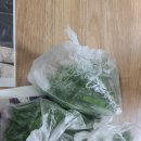 은진추어탕 이미지