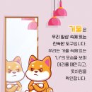 안양펫동물병원 이미지