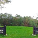 테디벨리 이미지