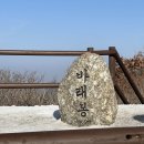 바래봉 정육점 | 1월 중순쯤을지나 설산도가고 일출도보고 언니도만나고 울산여행까쥐