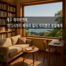 명일민박 | 제주 에어비앤비 강의 맛집 찾는다면, 여기서 시작하세요 (직접 들어본 후기)