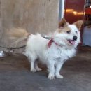 산속목장 이미지