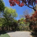 천보로 | 서울 근교 양주 천보웰니스 캠핑장 방문 후기 - 주말 힐링 캠핑으로 딱 좋았던 이유