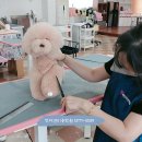 우리집 미용사(여성) 이미지