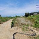 주교면사무소 이미지