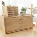 브레드나무 이미지