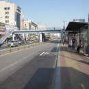 버스정류장 옆 이미지