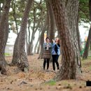 양남힐링펜션 이미지