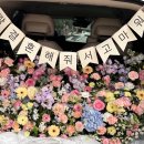 썸머리플라워