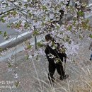 황산복집 이미지